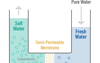 A diagram demonstration the process of Osmosis