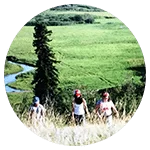A family walks uphill through tall grass