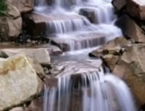 Drinking Spring Water Health Pros and Cons
