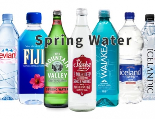 Drink Spring Water To Support The Health Of Your Organs