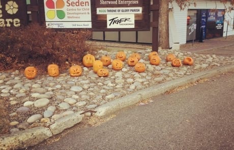 A day light shot of the pumpkins in front of the store